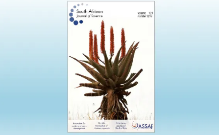 1768548145711056234.png image.png